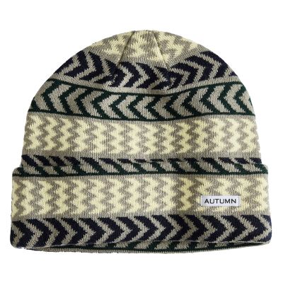 Autumn Select Chevron Beanie - Eggplant